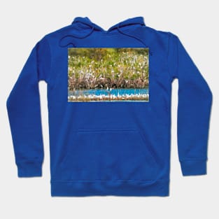 A Colorful Abstraction of Cattle Egret Hoodie